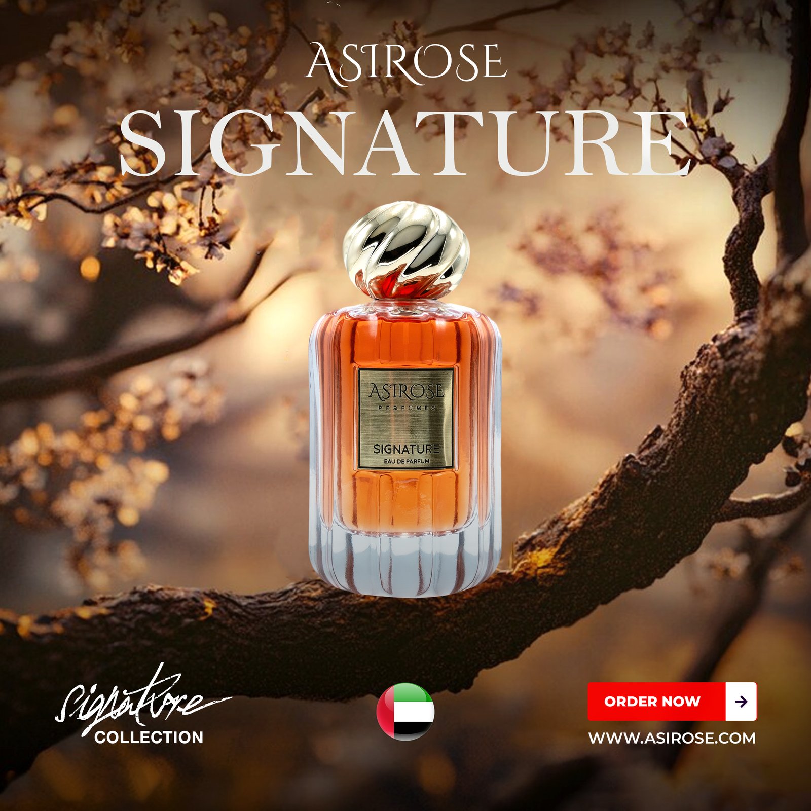 SIGNATURE