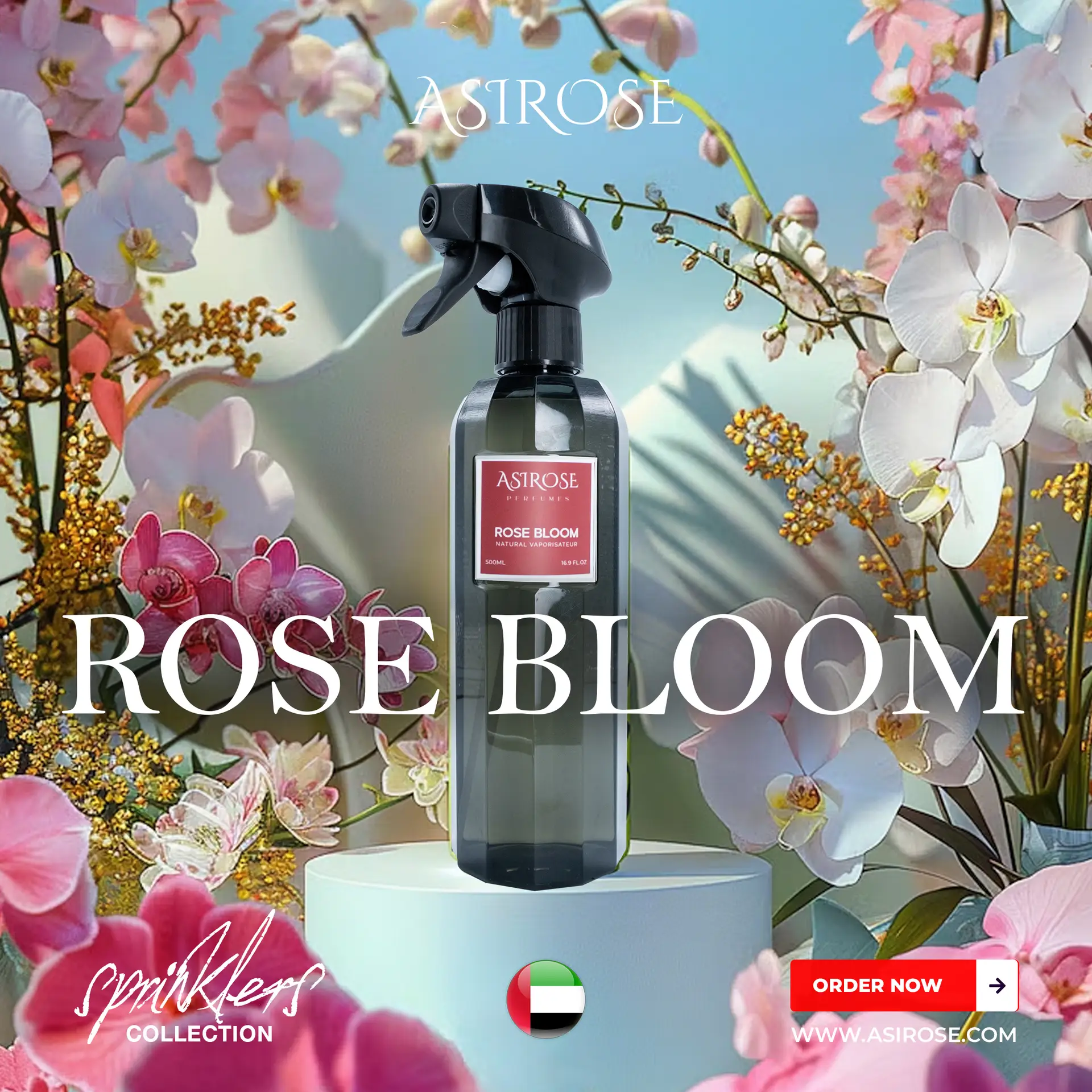 rose bloom